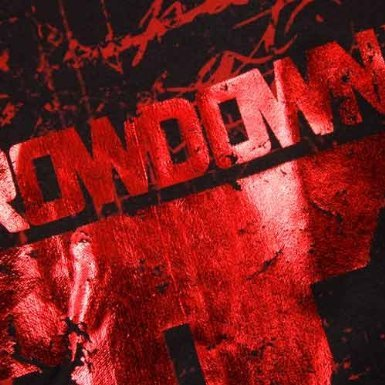 Шорты Throwdown Caged Stretch Boardshorts цена